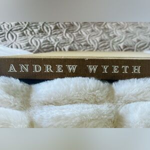 Andrew Wyeth Museum of Fine Arts Boston 1970 1st edition❣️